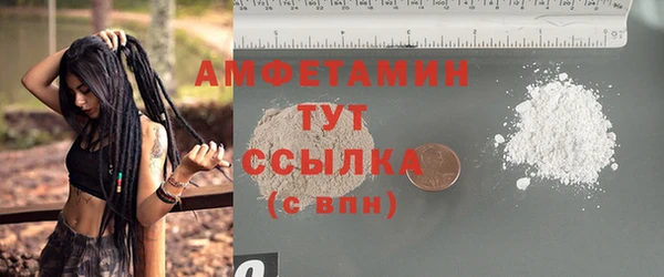 прущие грибы Балахна