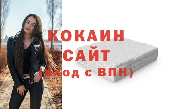 прущие грибы Балахна