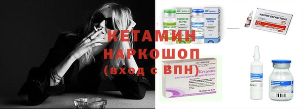 прущие грибы Балахна